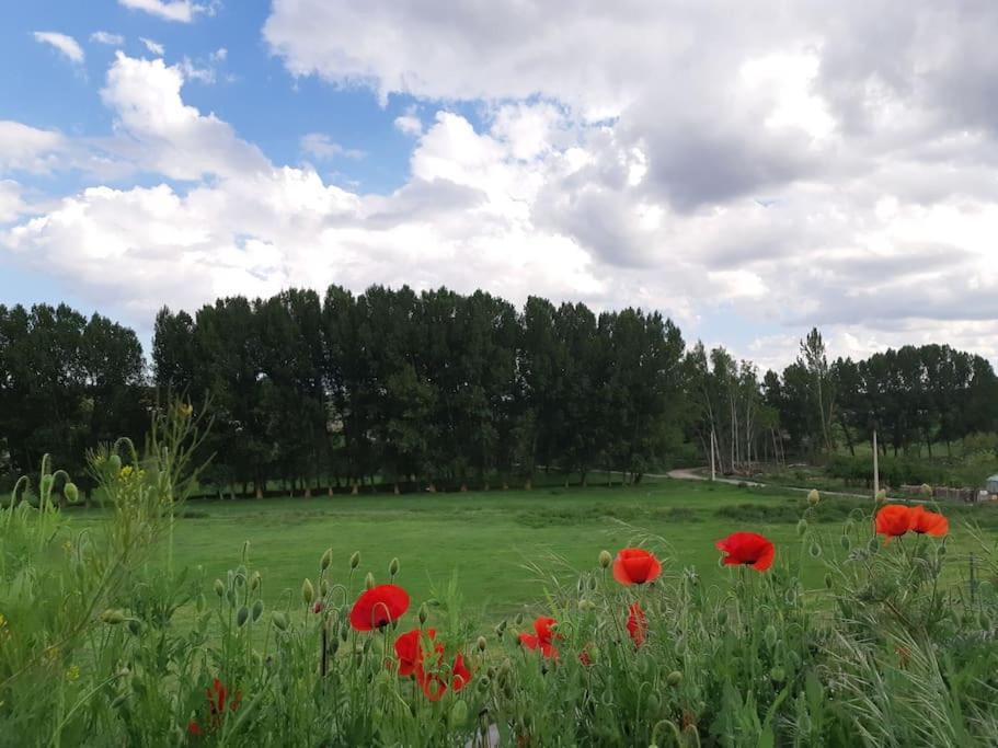 Casa Rural La Endrina Террьенте Экстерьер фото